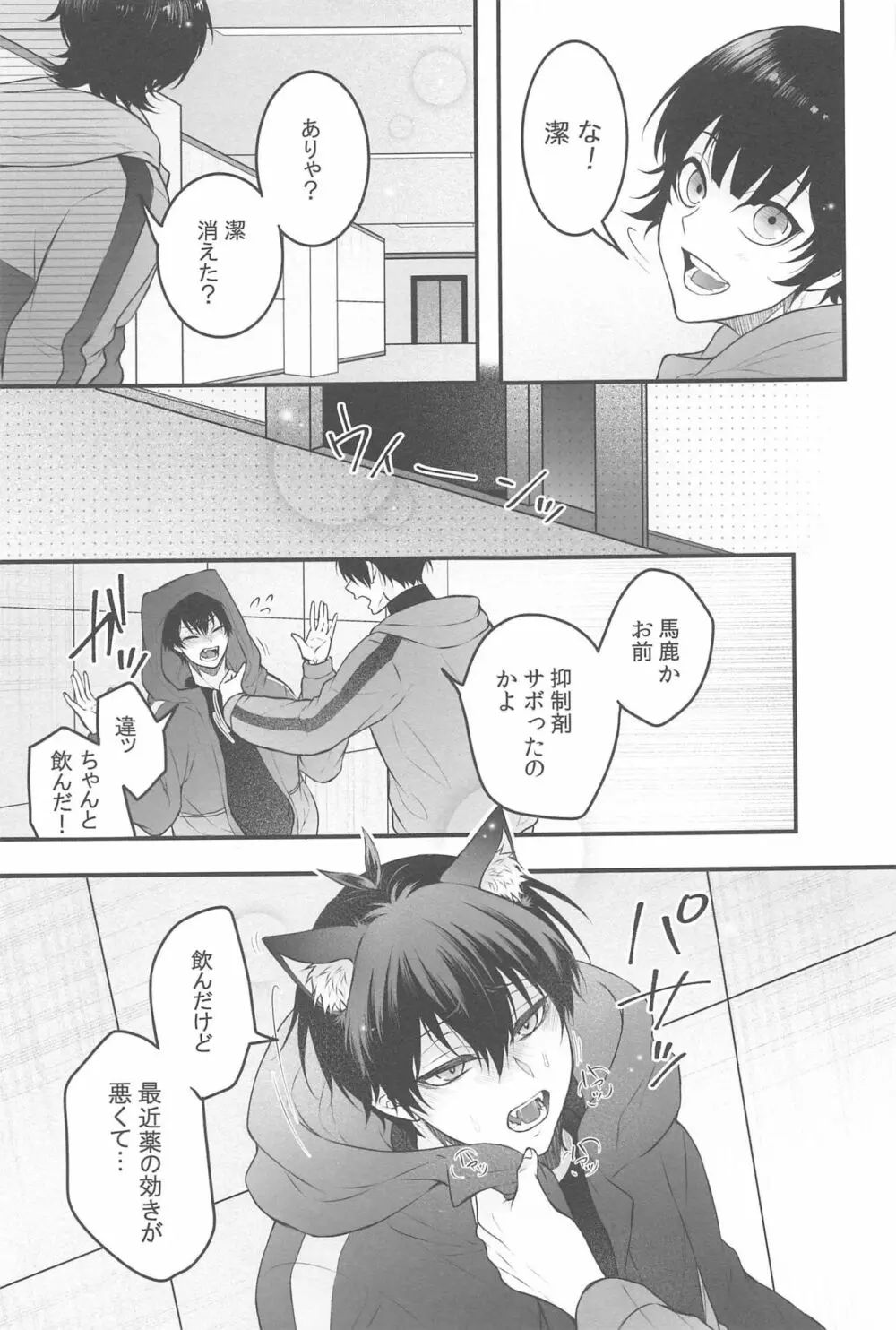 りんいさバラエティパック - page14