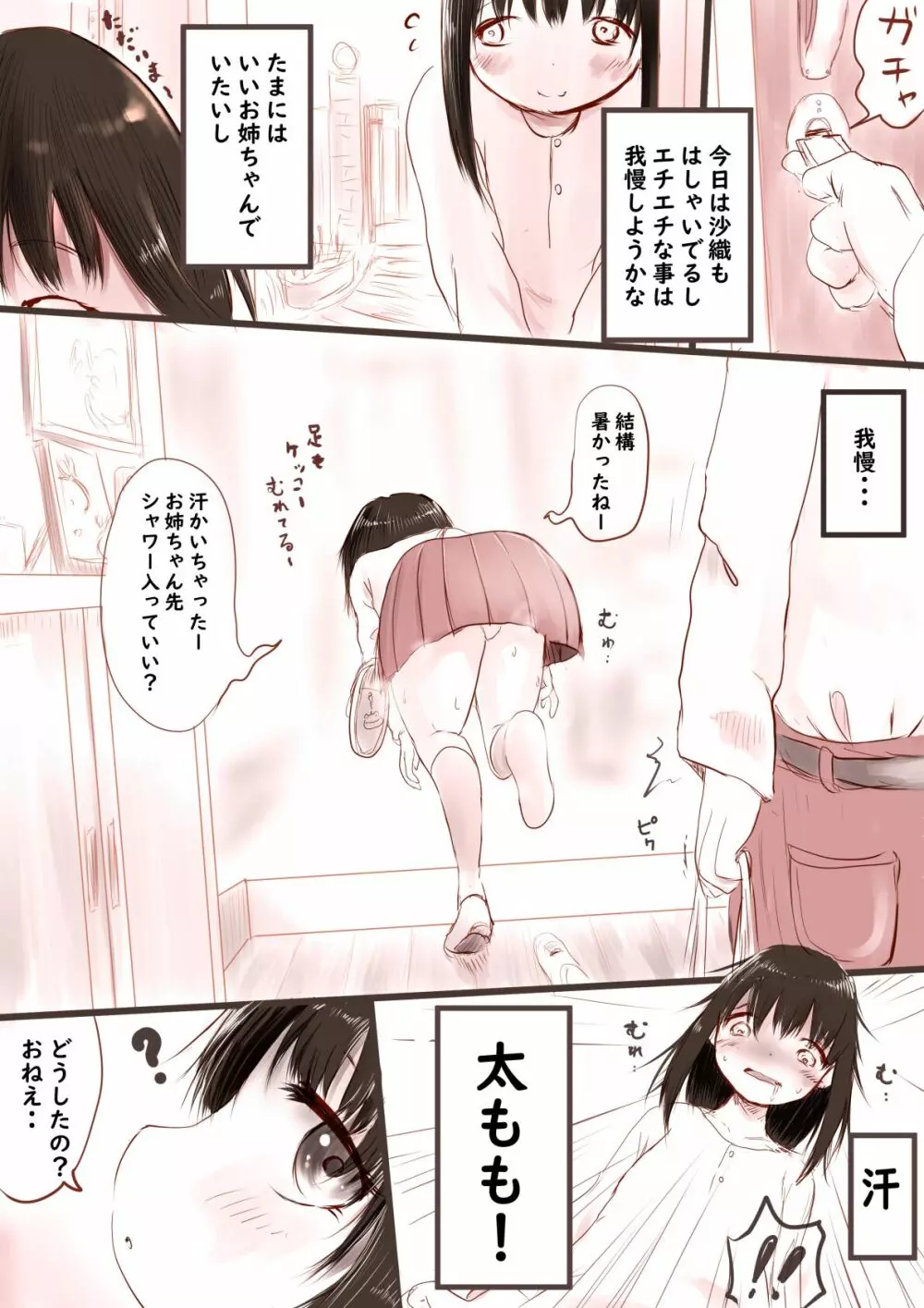 我慢できなかったお姉ちゃん - page2