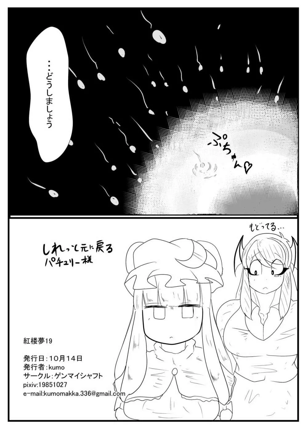 倒錯! ぱちゅこあっくす - page15