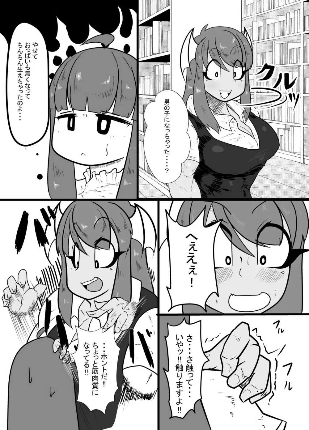 倒錯! ぱちゅこあっくす - page3