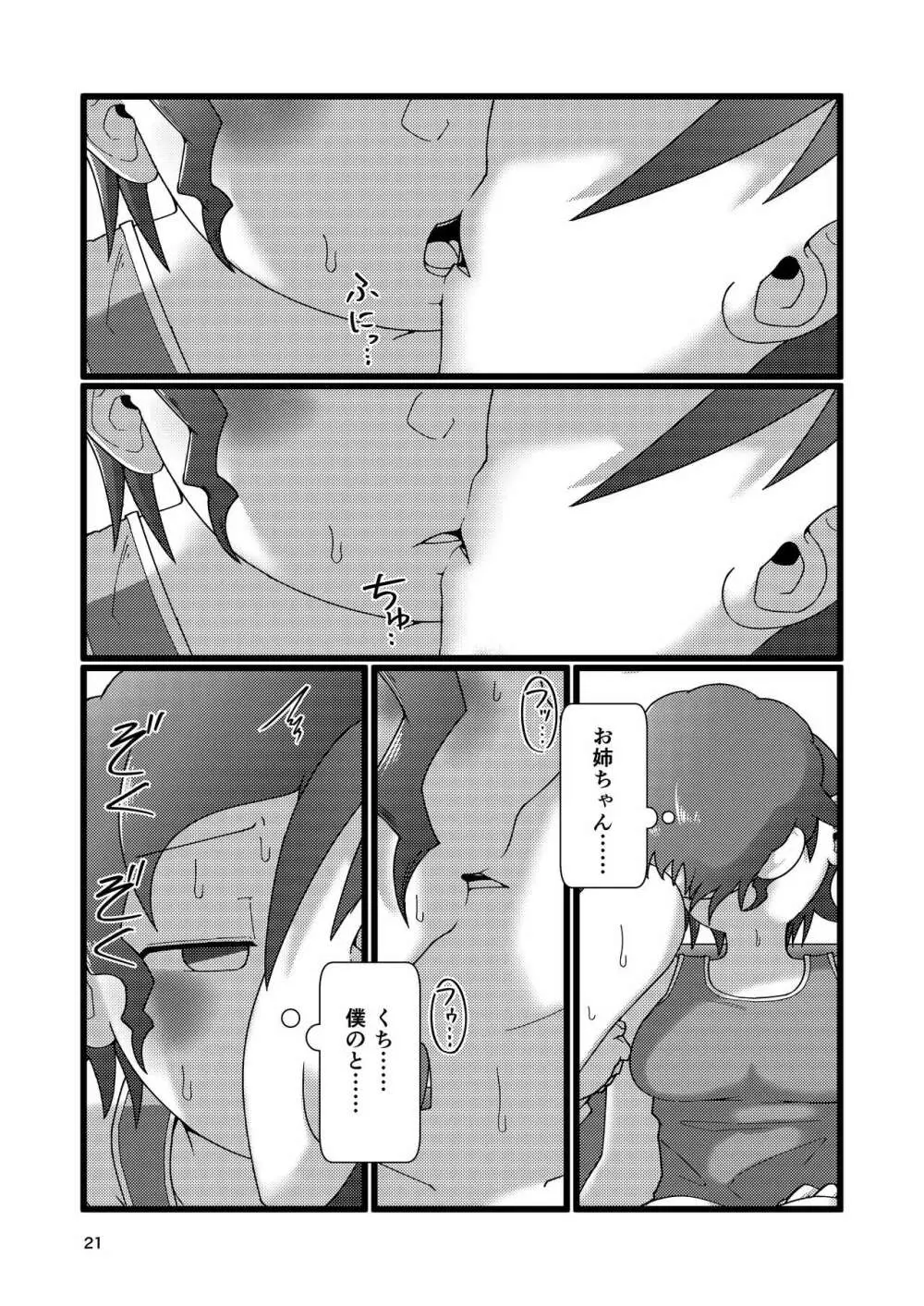 ぼくとなつやすみのあね - page21