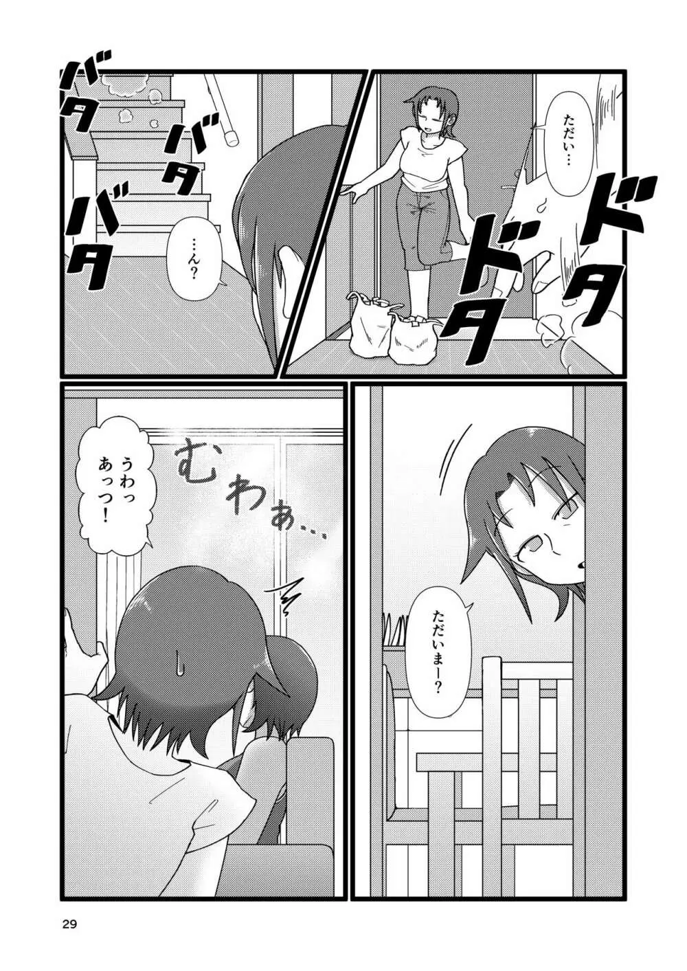 ぼくとなつやすみのあね - page29