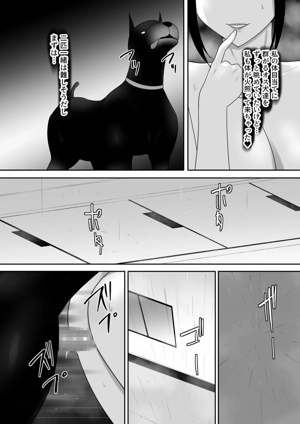 我が家にペットがやってきた - page27