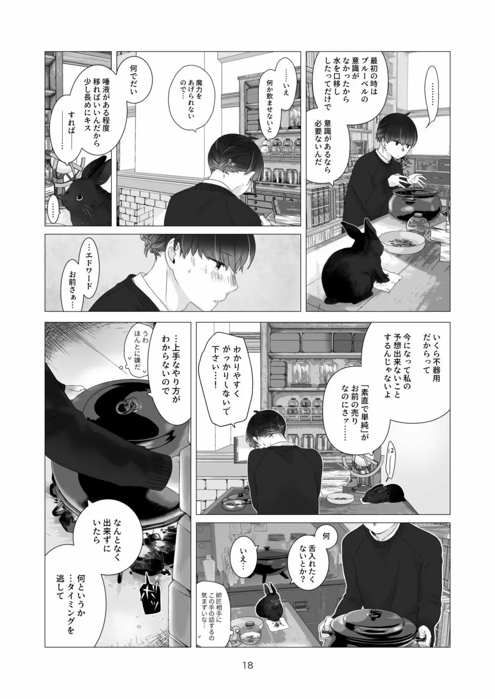 見習い魔法使い君の月の夜 - page18