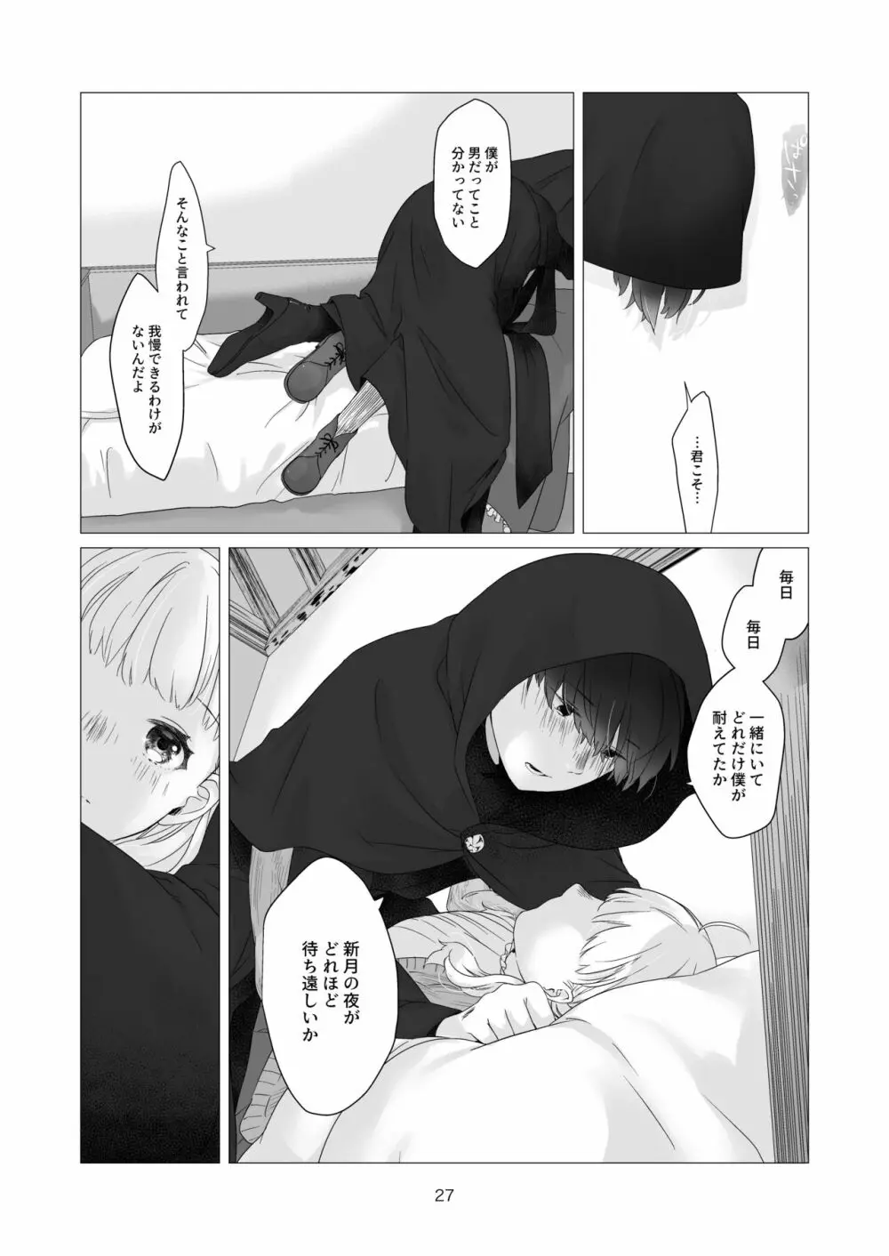 見習い魔法使い君の月の夜 - page27