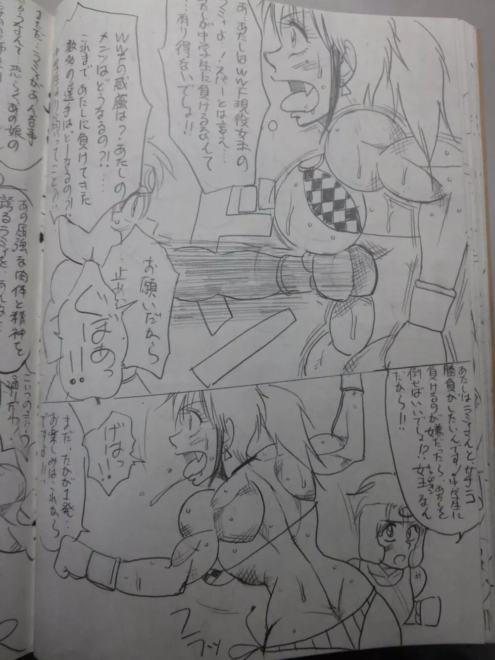 ティアラVSラミィ初スパー - page84