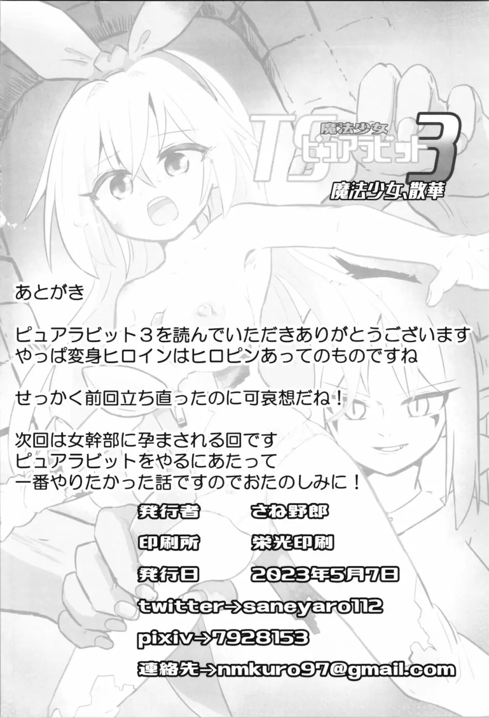 TS魔法少女ピュアラビット3 禁断の慰めっクス - page26