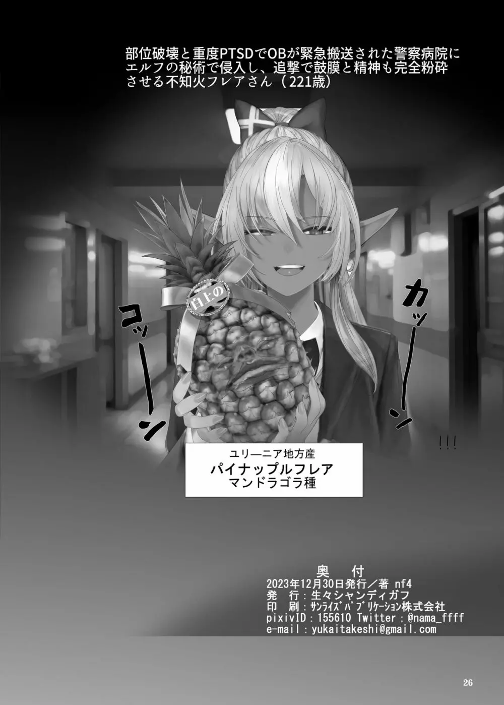 NTRノ工フレックス - page24