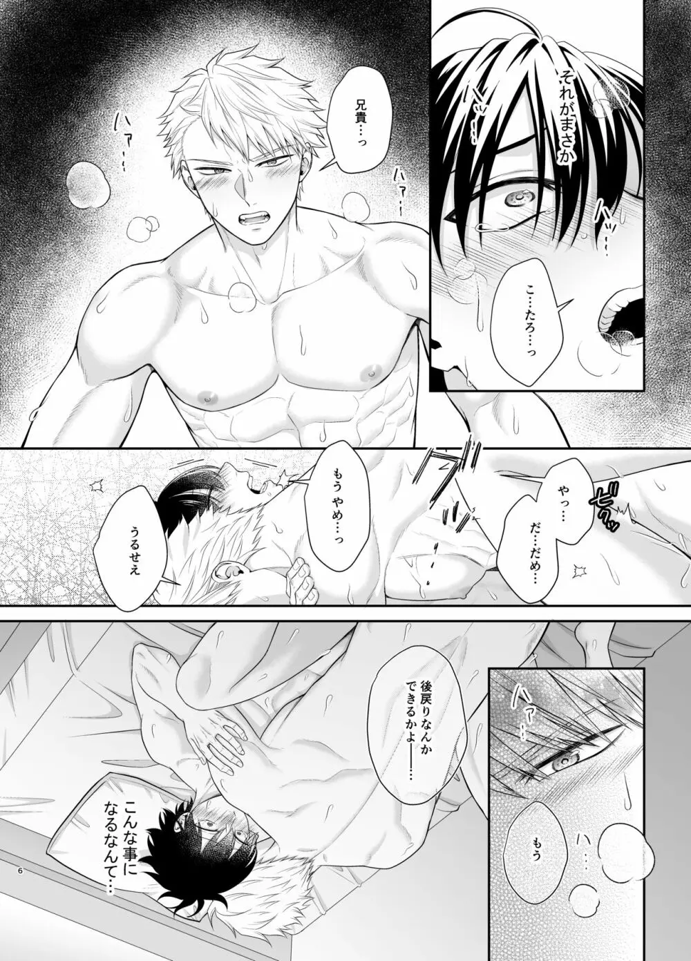 僕たち、兄弟にはもう戻れないみたいです。 - page6