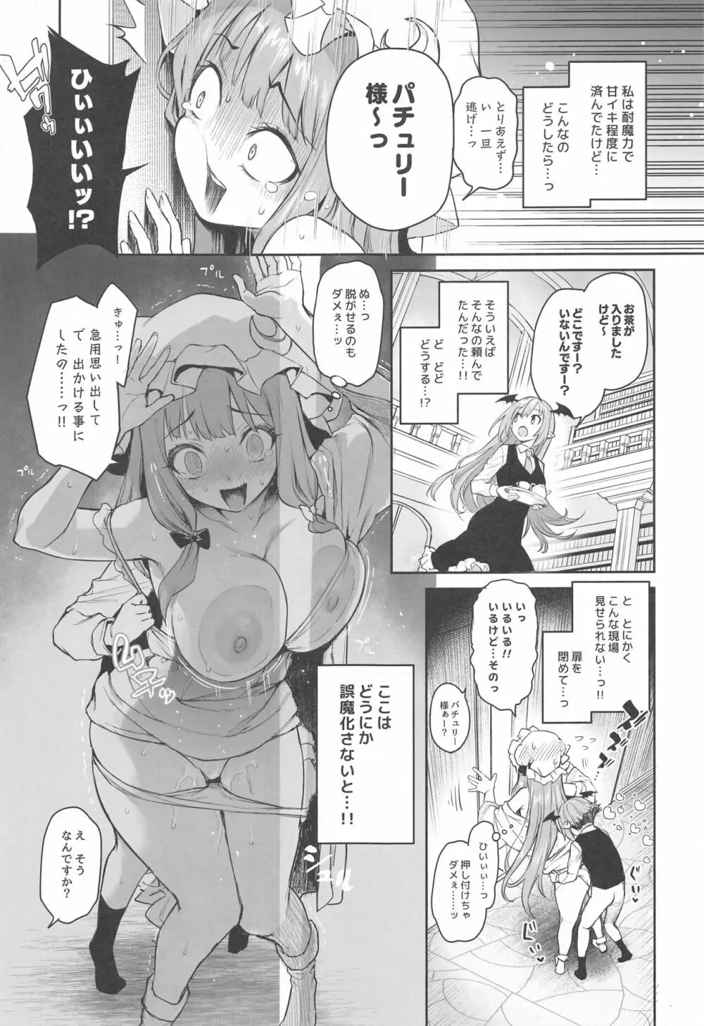 パチュリー様と秘密の部屋 - page9