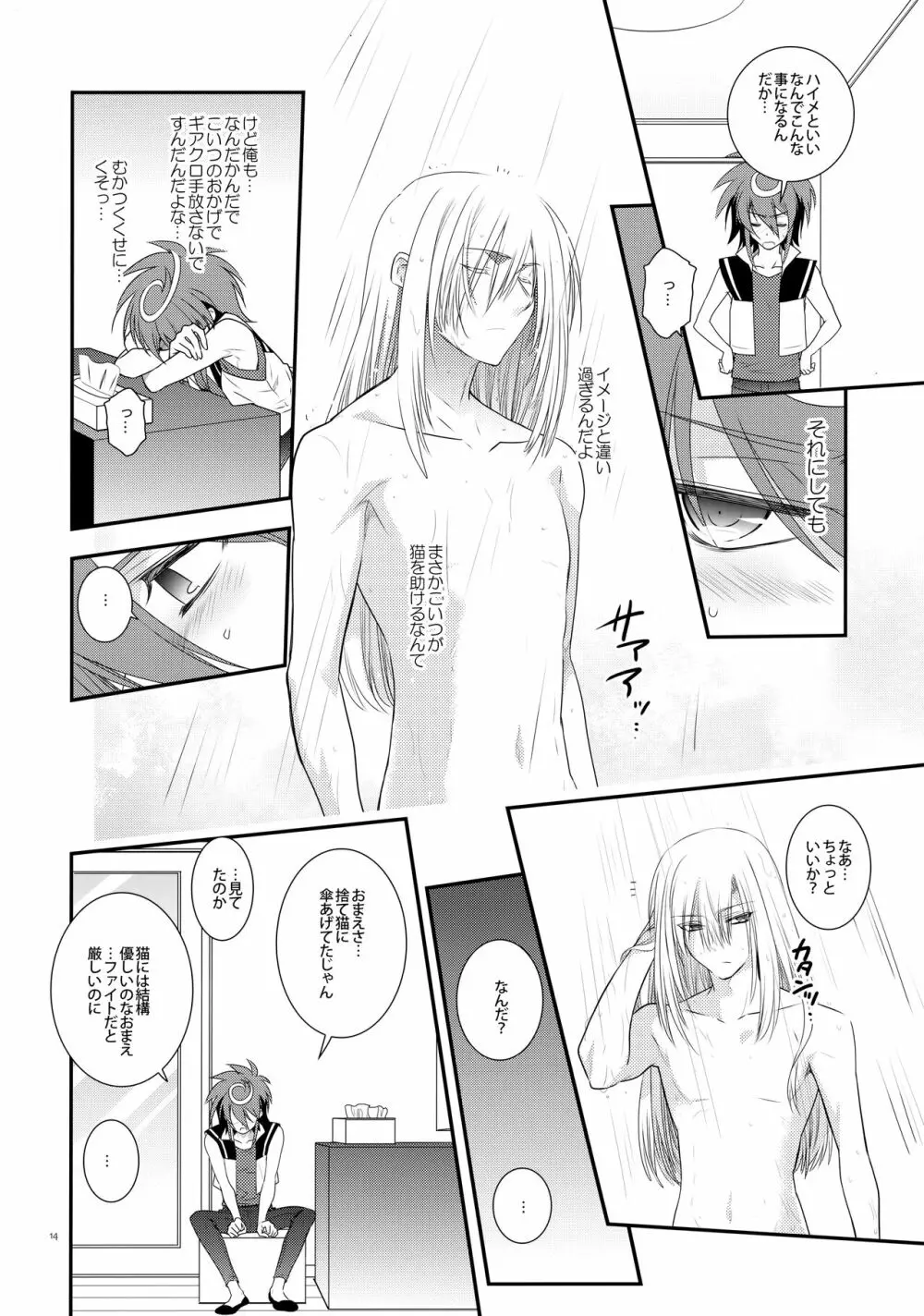 濡れ羽根の天蓋と迷い猫 - page13