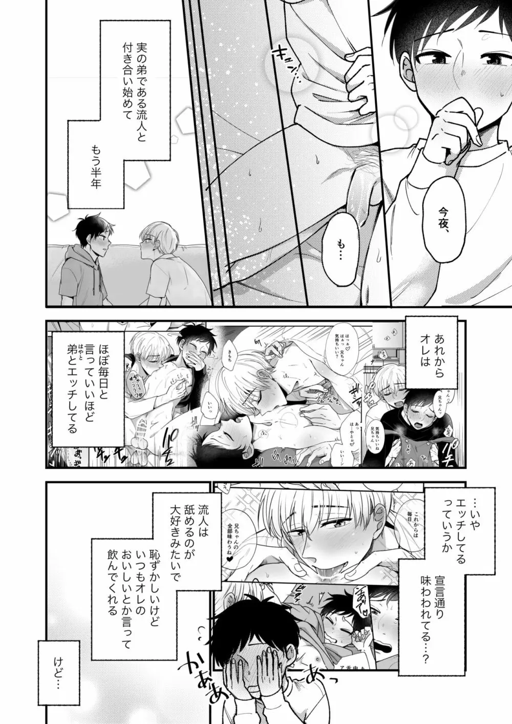 オレも弟も変態じゃない！こともないっ！！ - page6