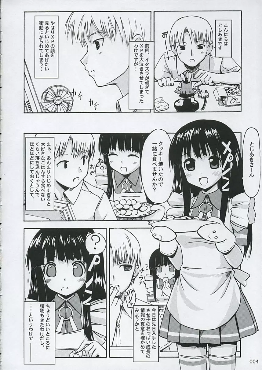 正しい？OSの扱い方2 - page3