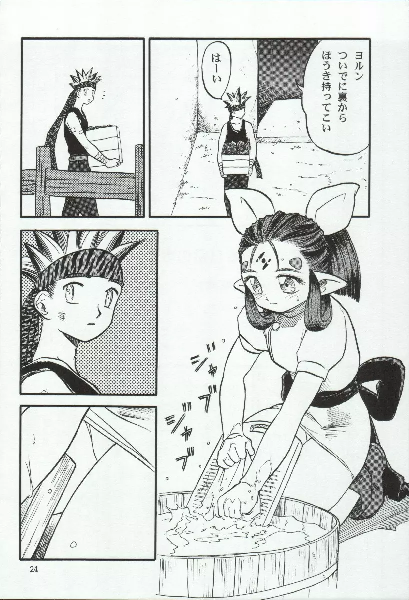 エリシスが出てる本完全版 - page24