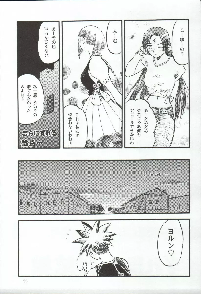 エリシスが出てる本完全版 - page35