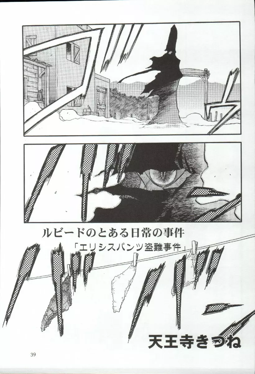 エリシスが出てる本完全版 - page39