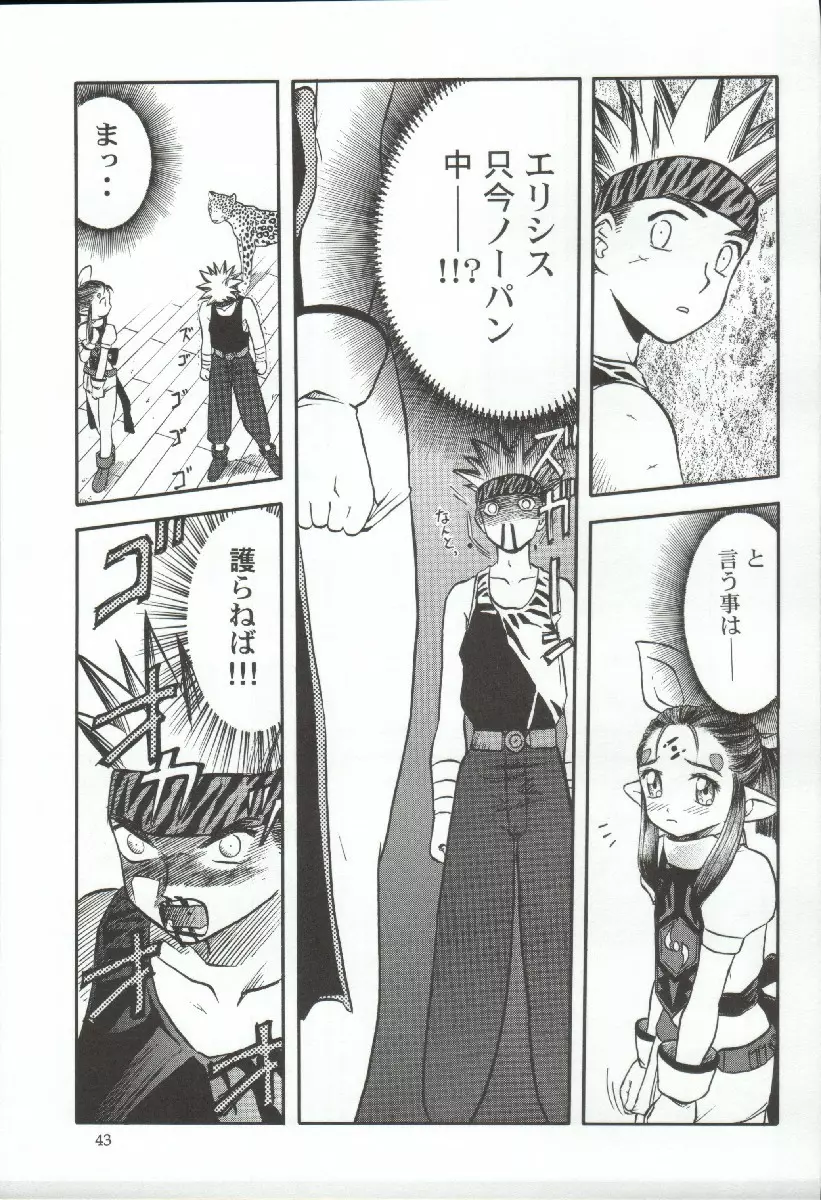 エリシスが出てる本完全版 - page43