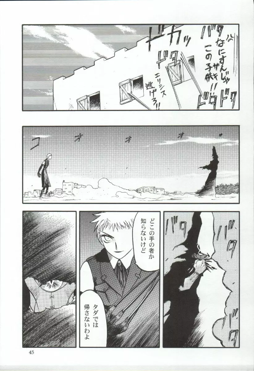 エリシスが出てる本完全版 - page45