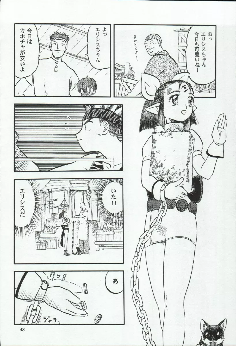 エリシスが出てる本完全版 - page48