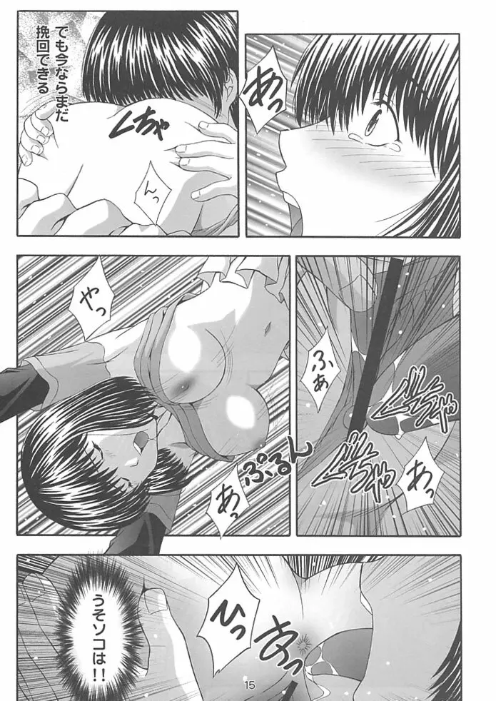 SECRET FILE NEXT 4 奈瀬の碁～明日に向かって～ - page14