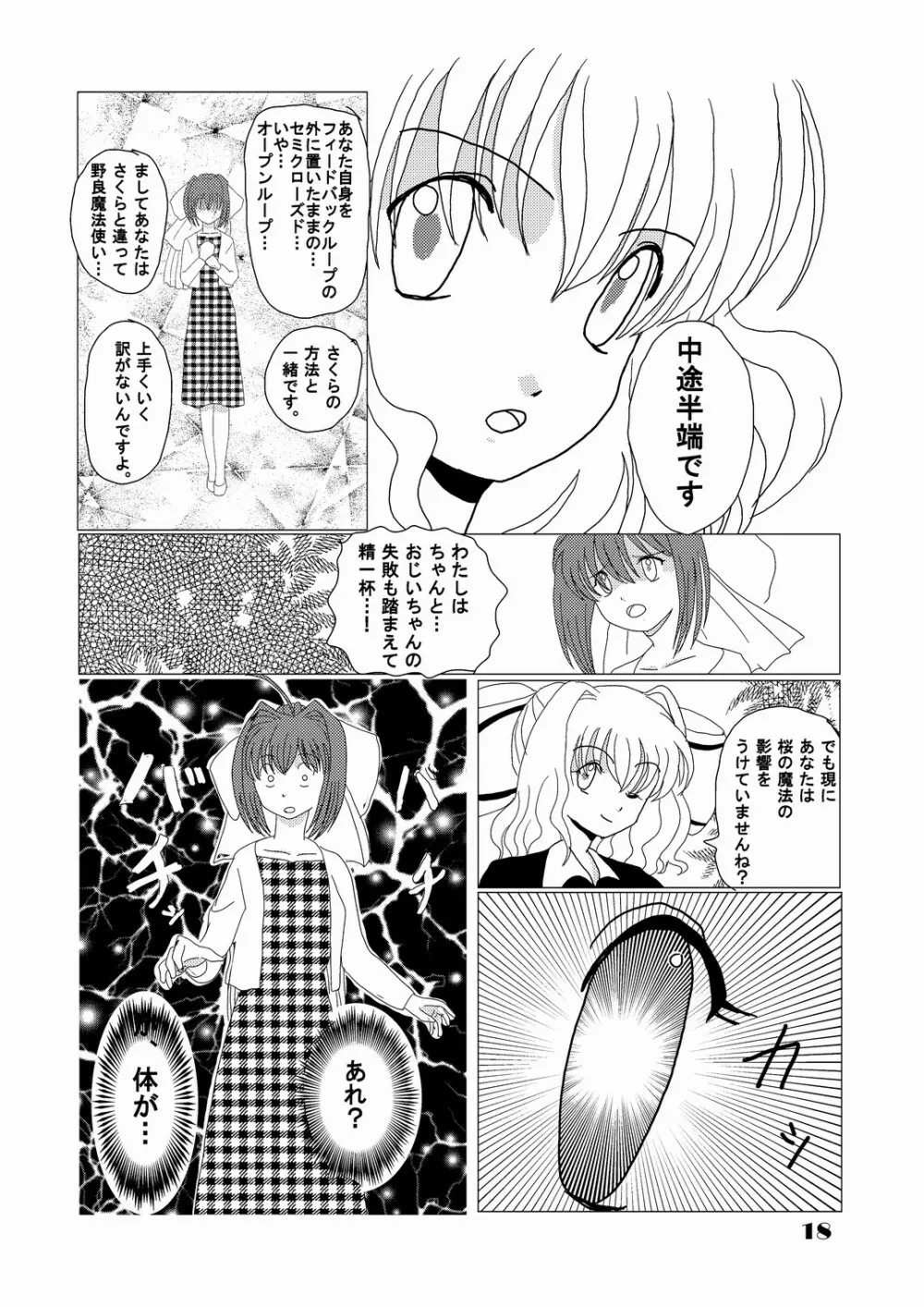 妄念自動安定化回路 - page17