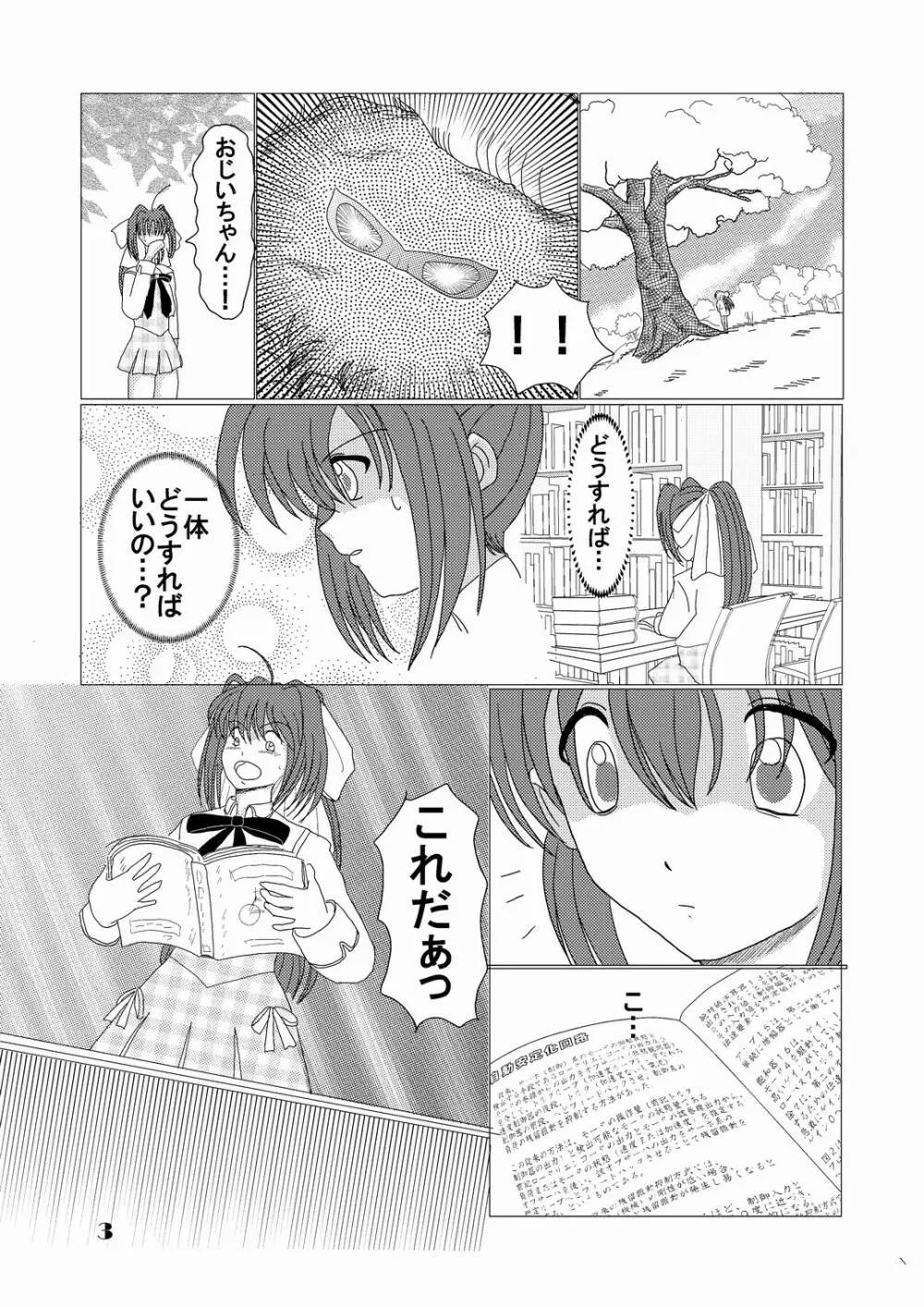 妄念自動安定化回路 - page2