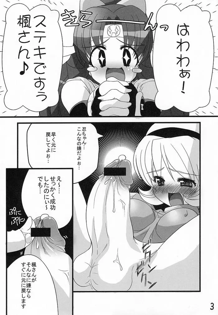 Ninpou Ranchiki Sawagi - page2