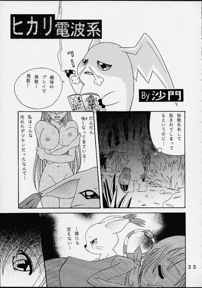 八神サン家ノ、家庭ノ事情。 - page34