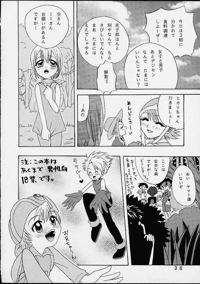 八神サン家ノ、家庭ノ事情。 - page35