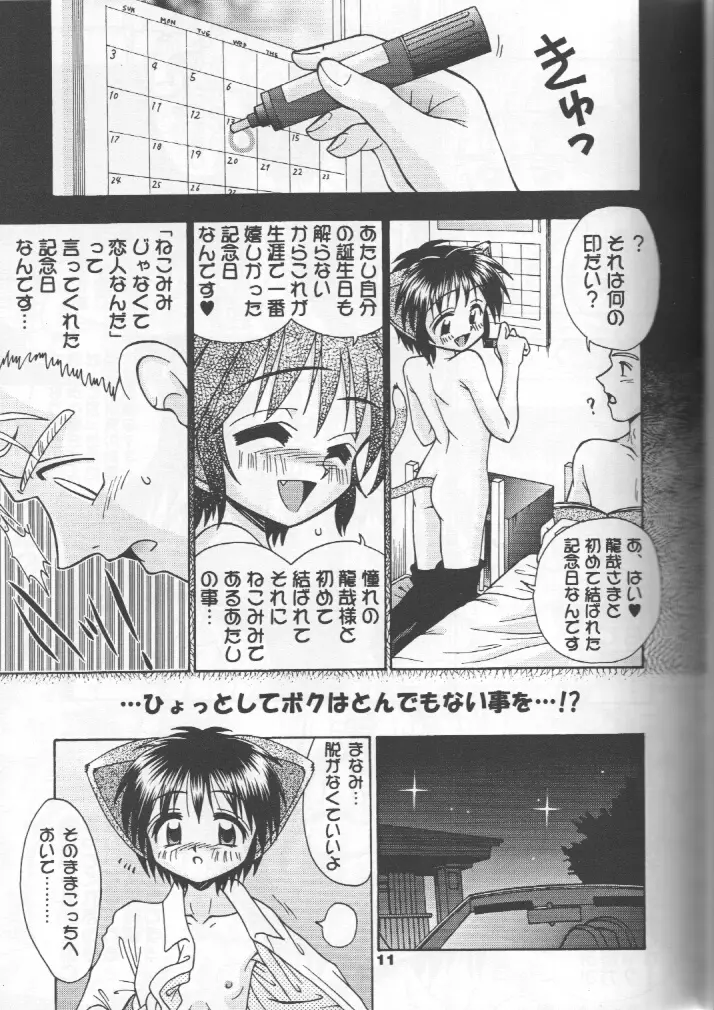 ねこメイドファイル - page10