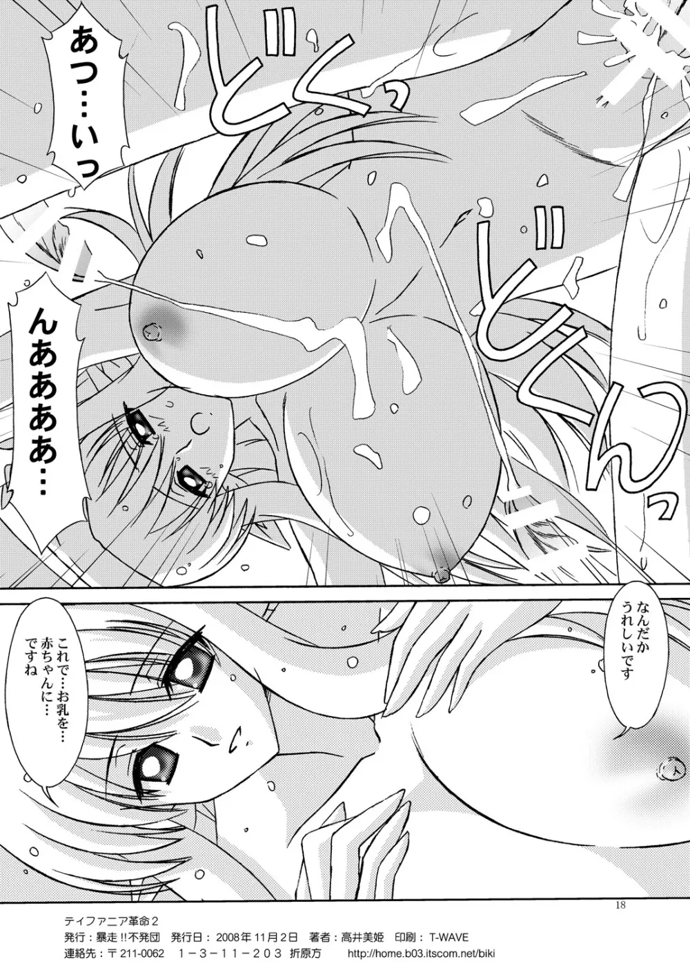 ティファニア革命 2 - page17