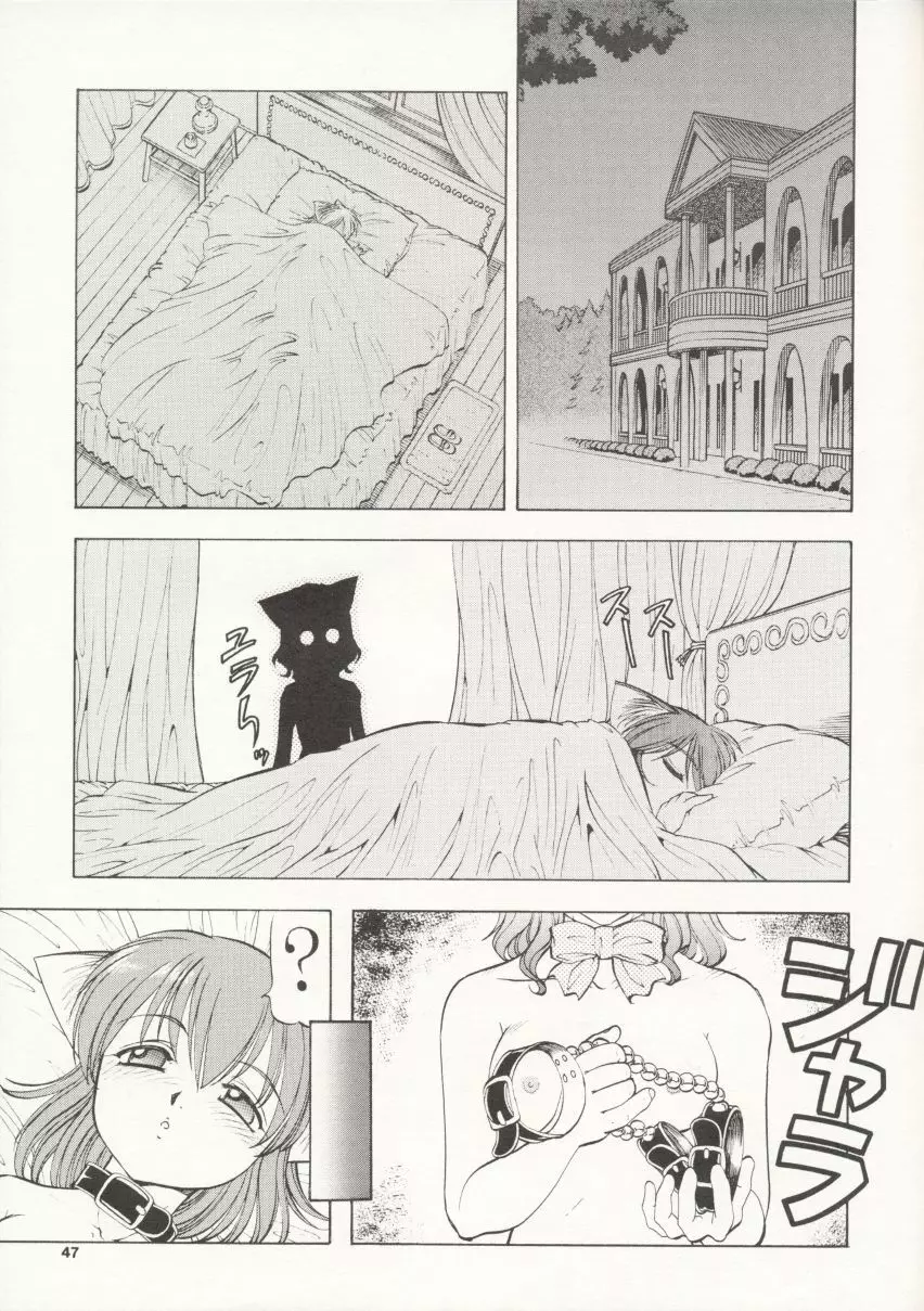 Maid Cats Story - page46