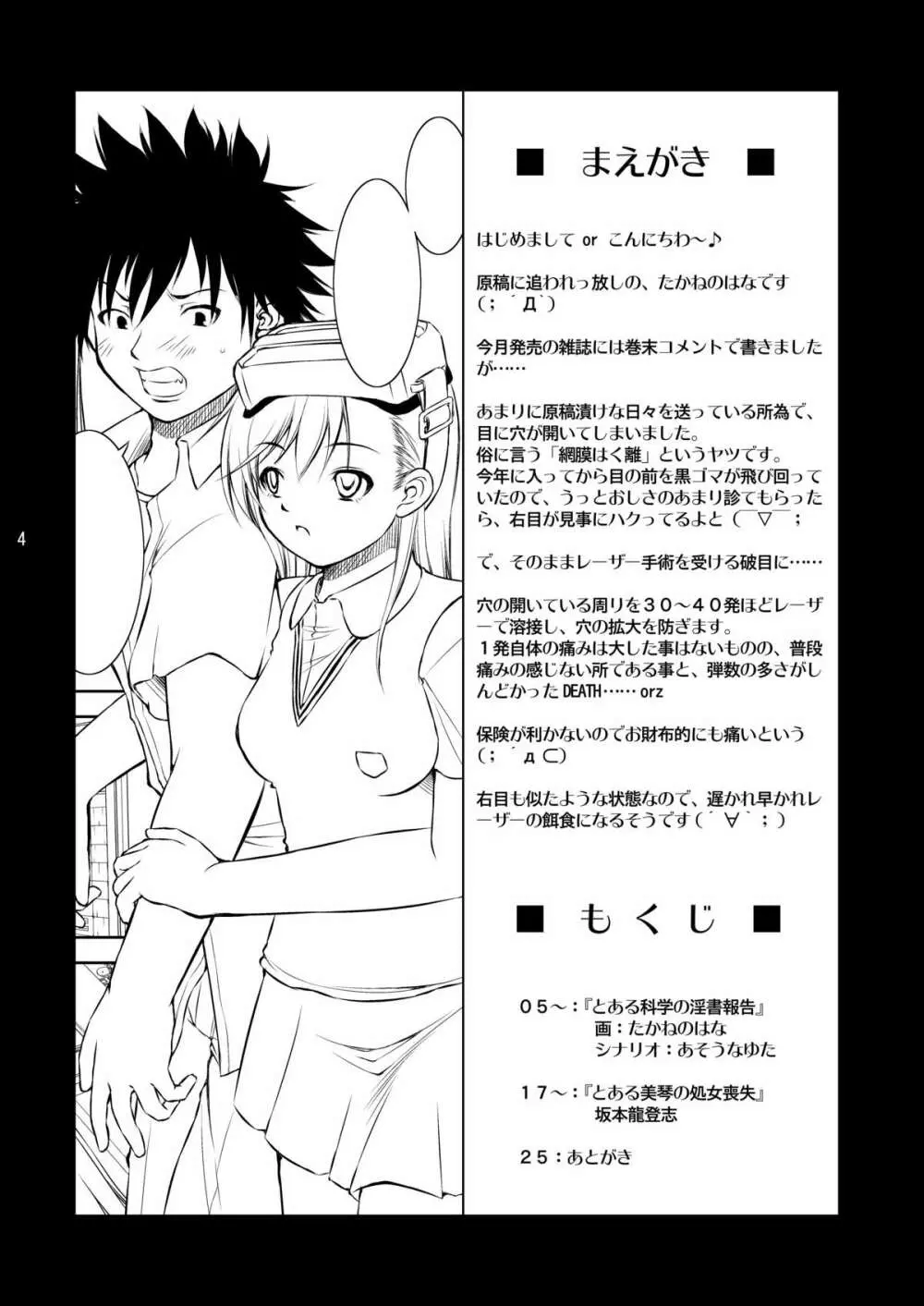 とある科学の淫書報告 - page3