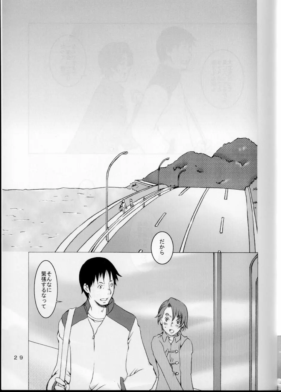 経過報告 - page29