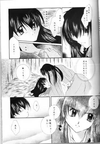 最後の桜の咲く頃 - page15