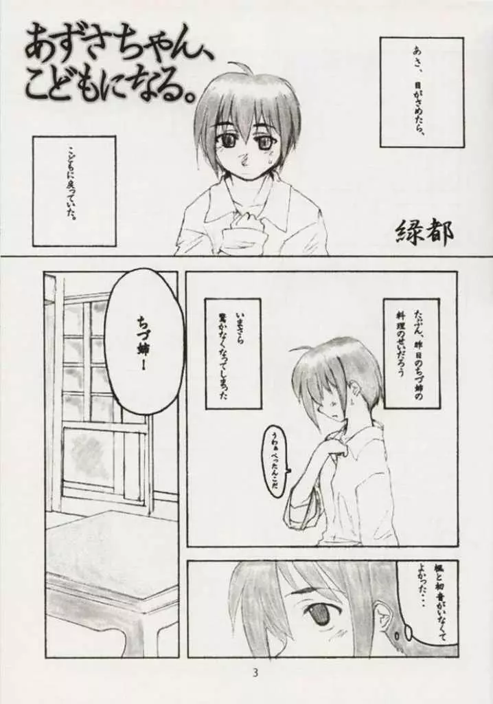 梓なのに貧乳本 - page3