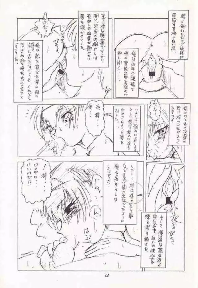 [Works-Maruma (Makura Eiji)] Kizuato (moe)2 Magazine (Kizuato) - page15