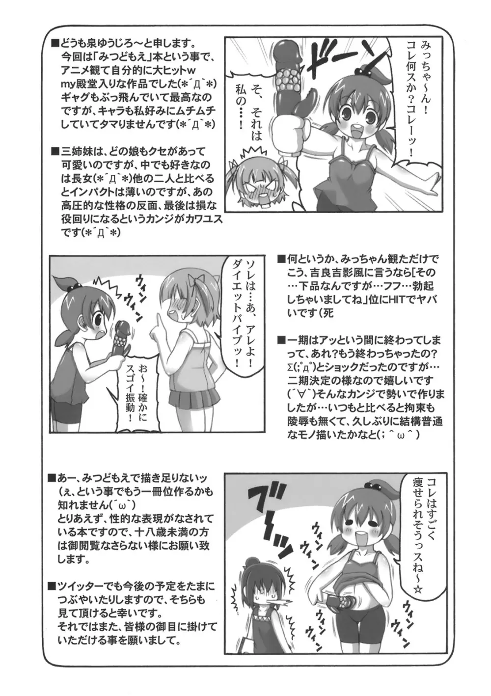 みっちゃんが好きでしょうがない本 - page3