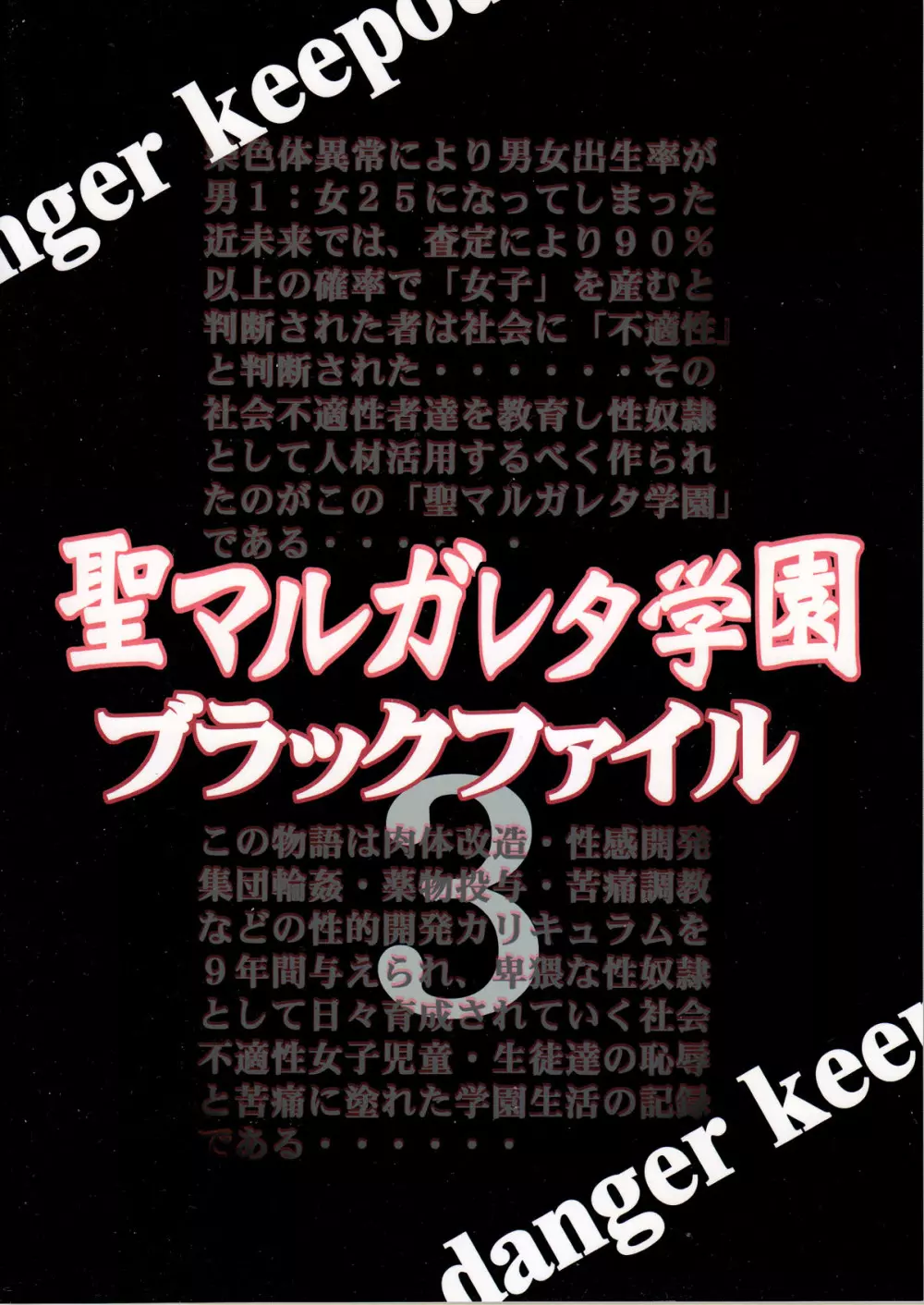 聖マルガレタ学園 ブラックファイル 3 - page2