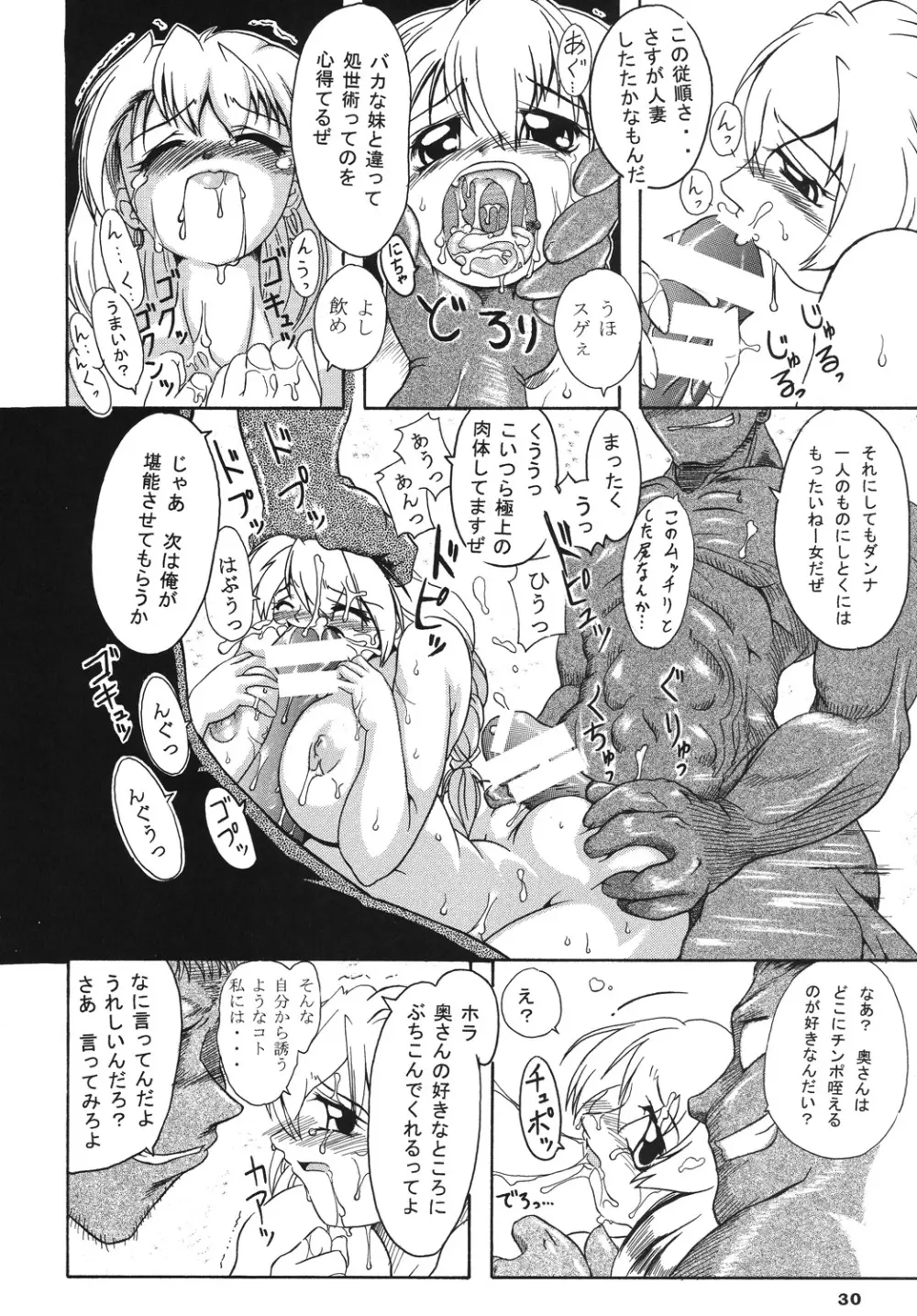 聖戦士の末路 - page29