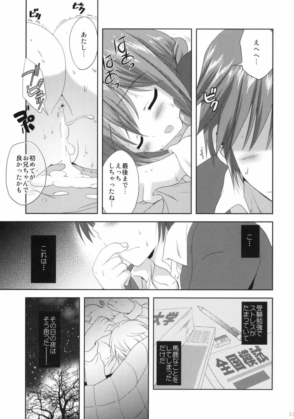 いもうと身体検査 - page22