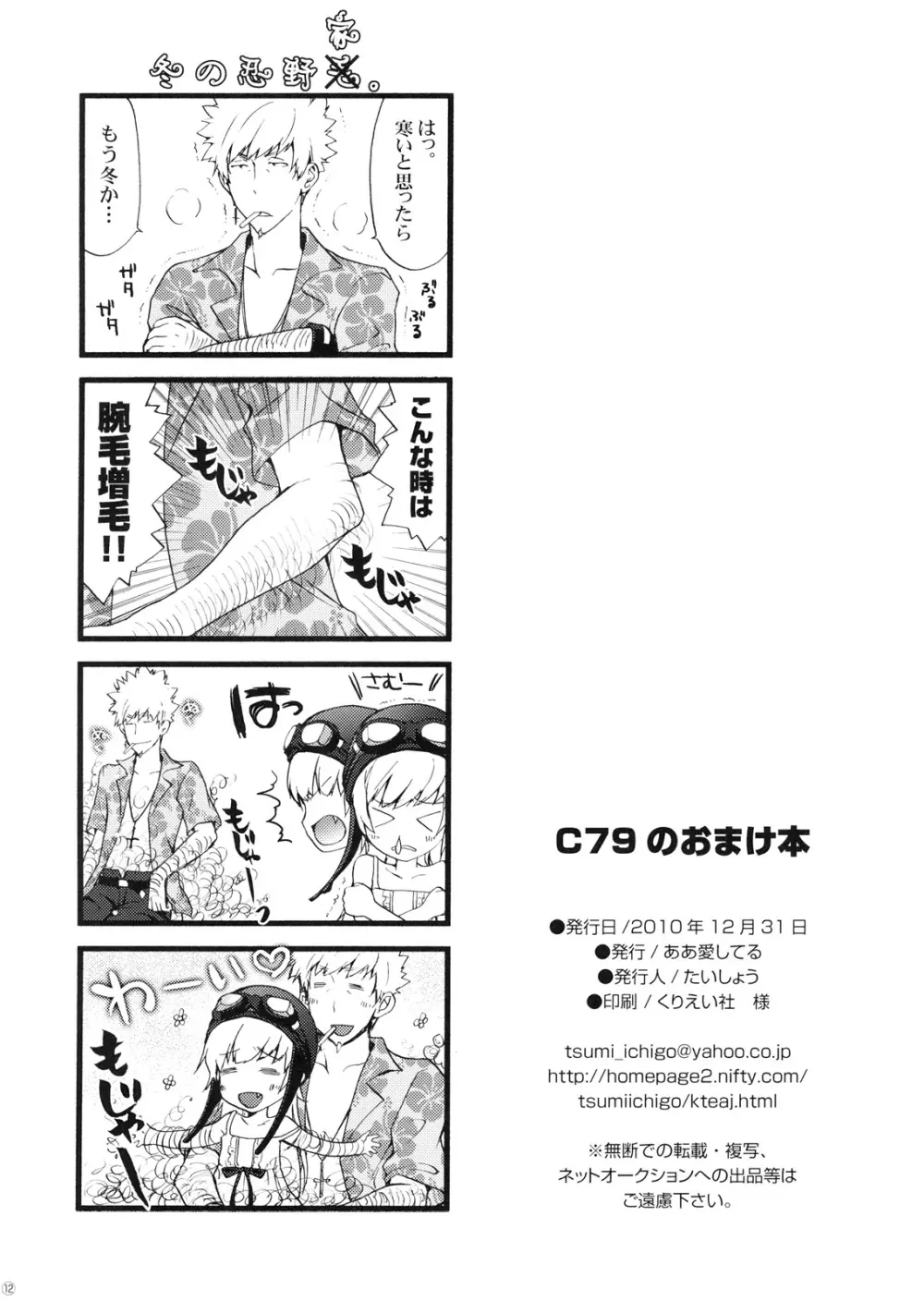 C79のおまけ本 - page12