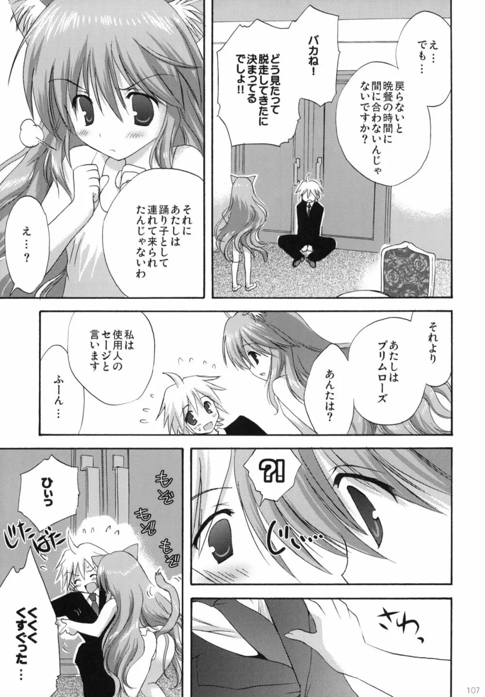 2009こりすやオリジナル総集編 #02 - page106