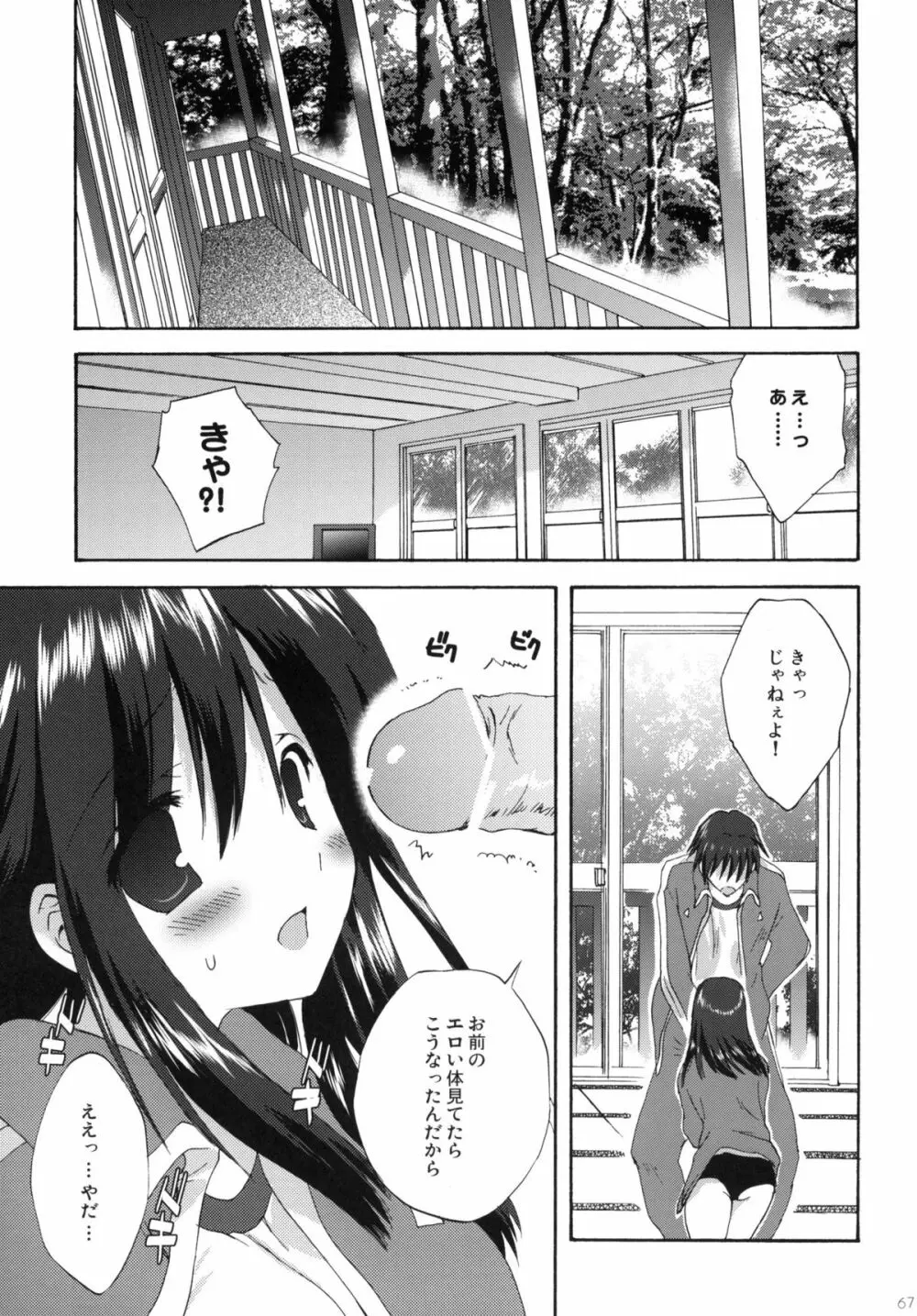 2009こりすやオリジナル総集編 #02 - page66