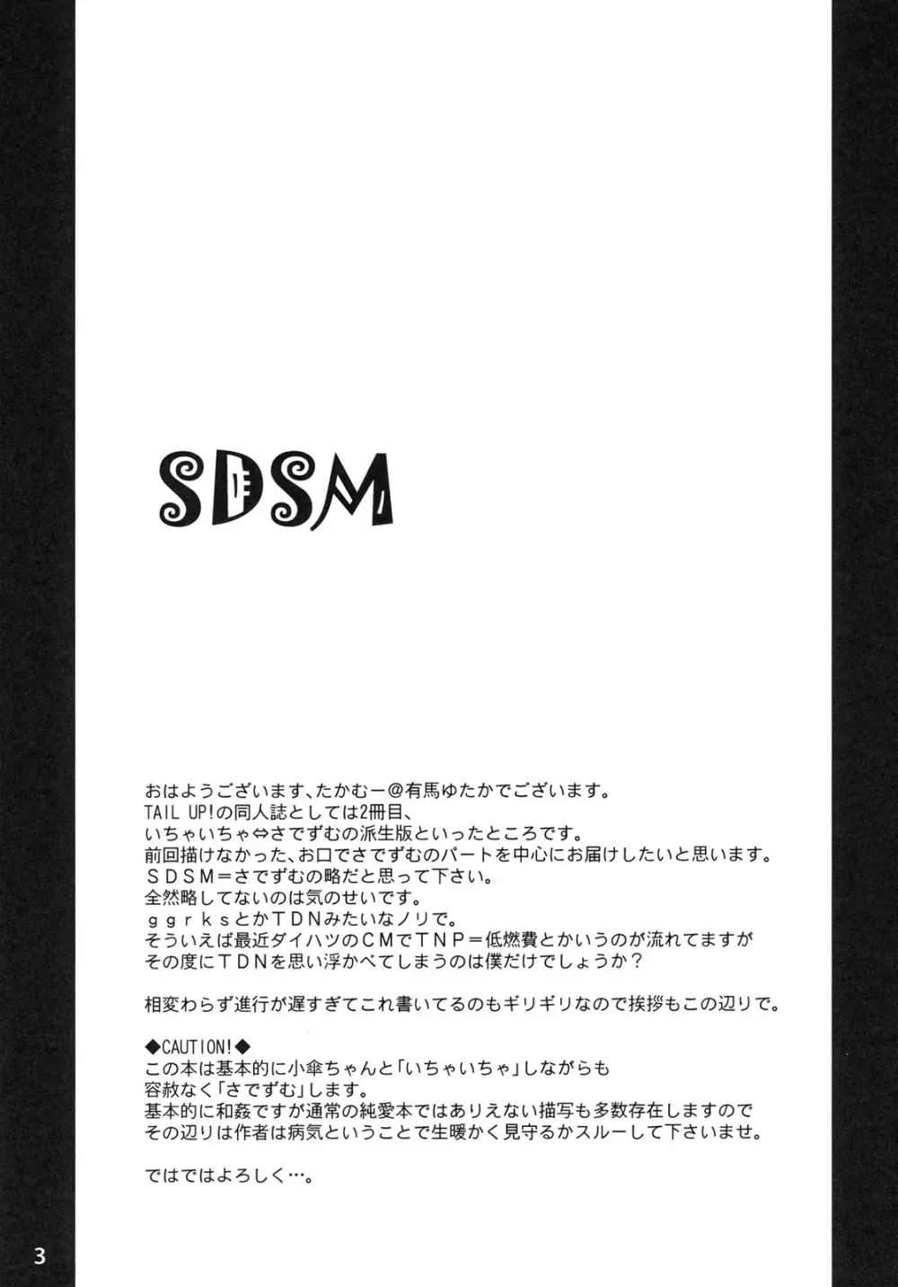 SDSM - page2