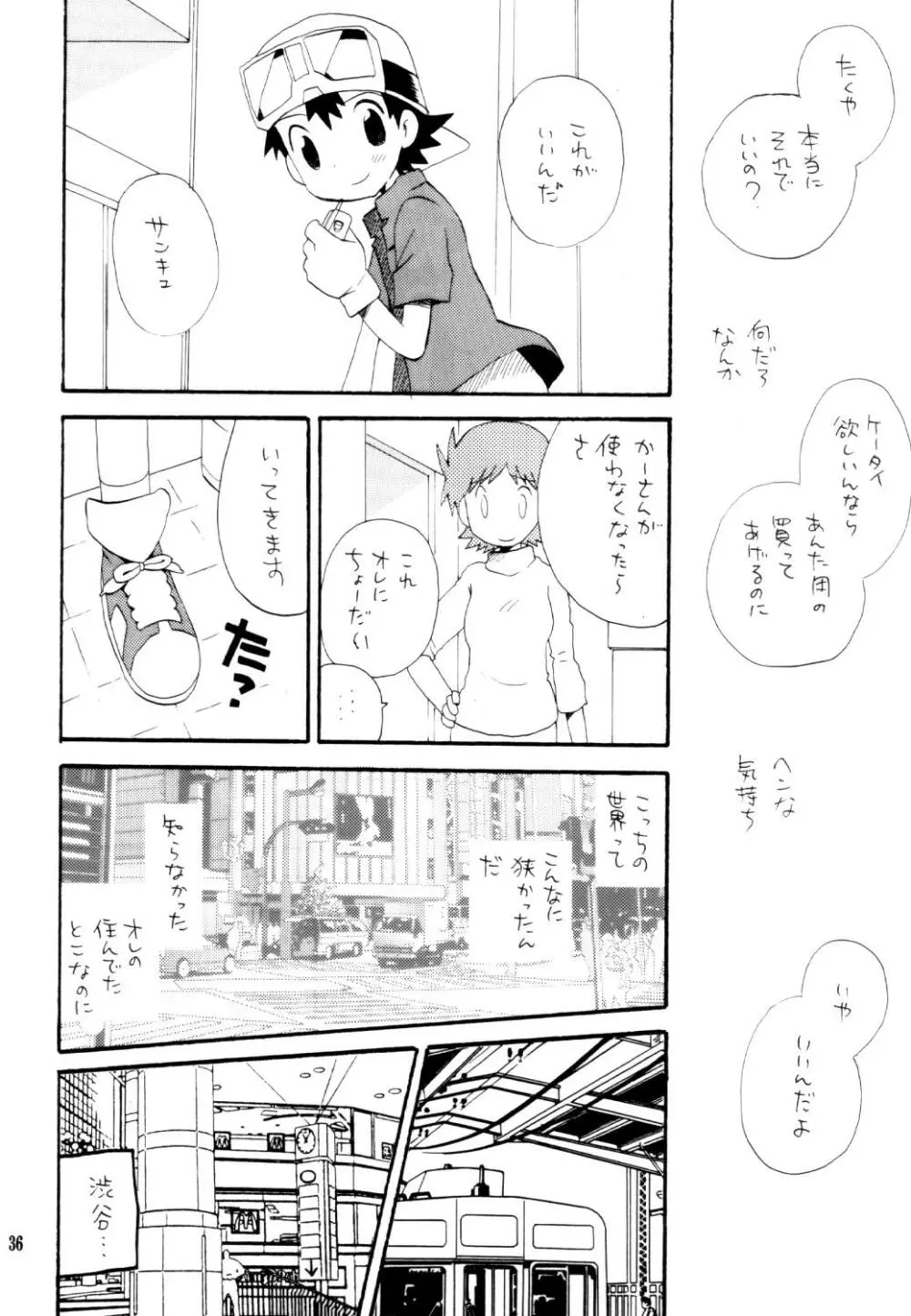 いなづまロックドーム - page35