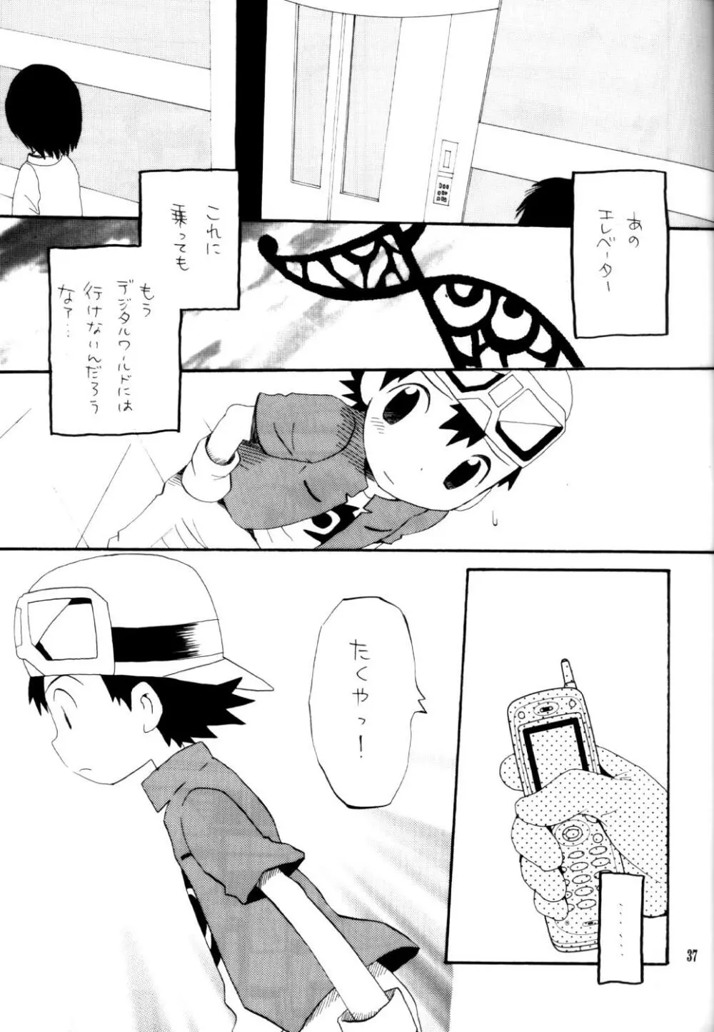 いなづまロックドーム - page36