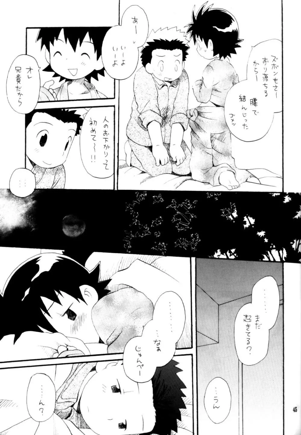 いなづまロックドーム - page44