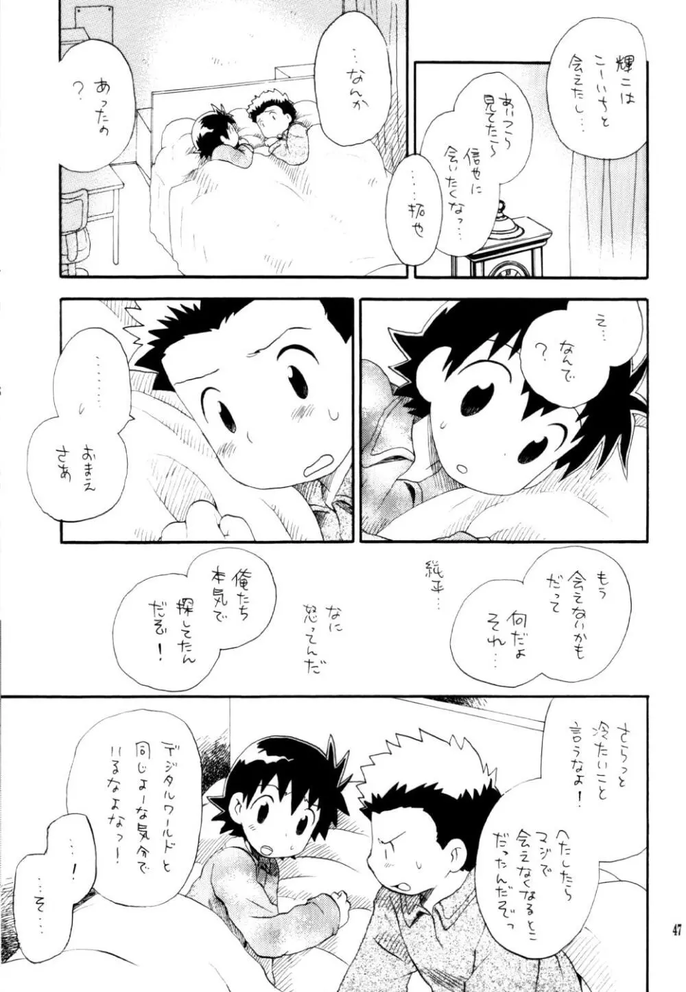 いなづまロックドーム - page46