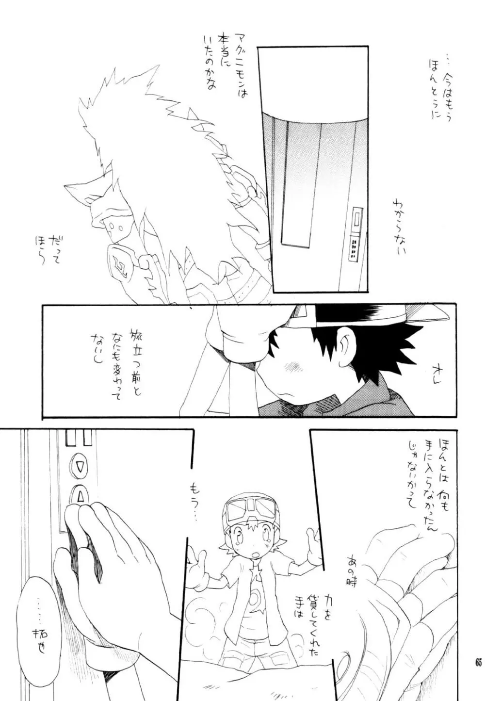 いなづまロックドーム - page64